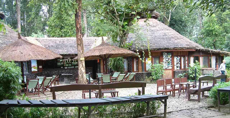 Chitwan Jungle Lodge