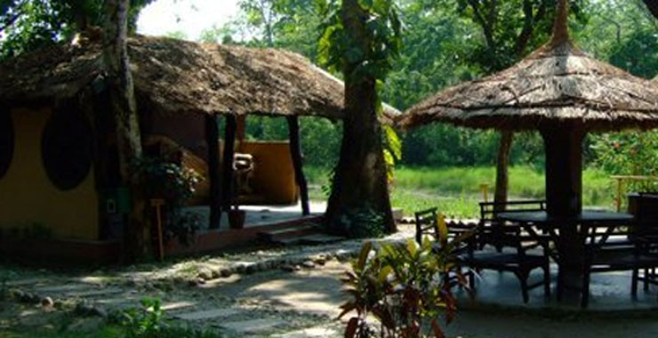 Island Jungle Resort 