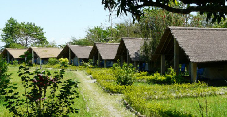 Kosi Tapu Wildlife Camp